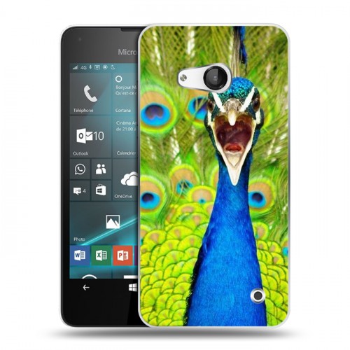 Дизайнерский пластиковый чехол для Microsoft Lumia 550 Павлины