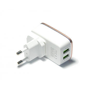 Зарядное устройство Ldnio 2 USB 2.4A + micro USB кабель (A2204) Белый